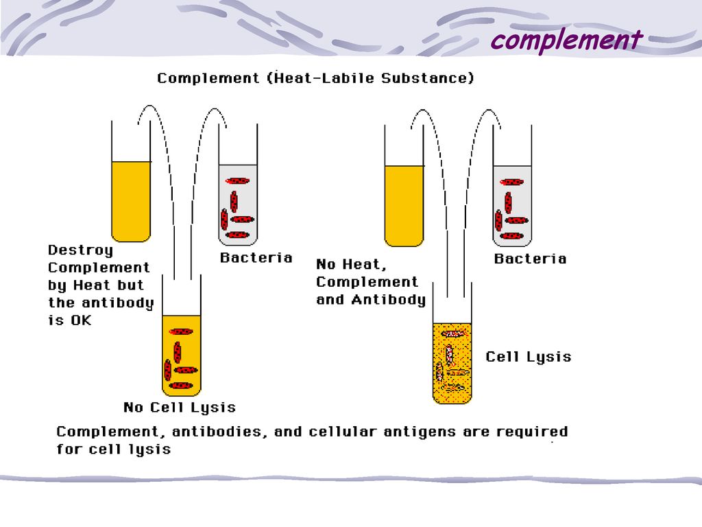 complement