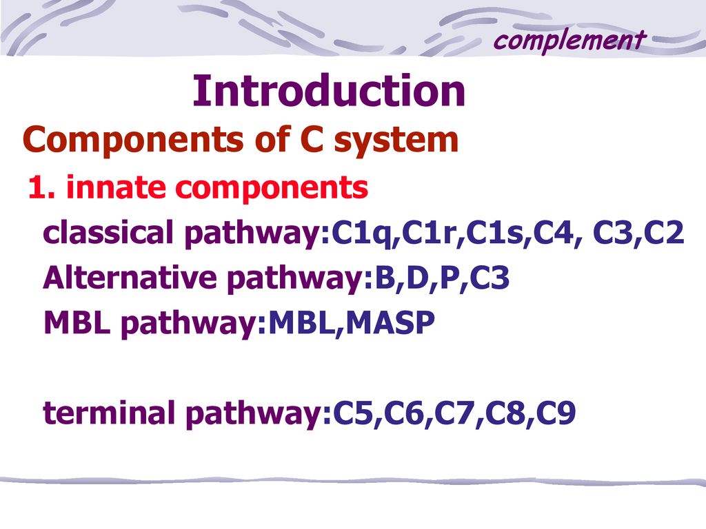 Introduction Components of C system 1. innate components