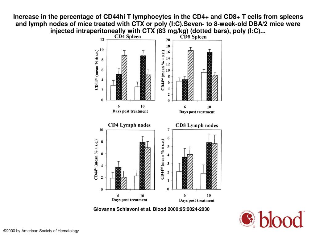 Increase in the percentage of CD44hi T lymphocytes in the CD4+ and CD8+ T cells from spleens and lymph nodes of mice treated with CTX or poly (I:C).Seven- to 8-week-old DBA/2 mice were injected intraperitoneally with CTX (83 mg/kg) (dotted bars), poly (I:C)...