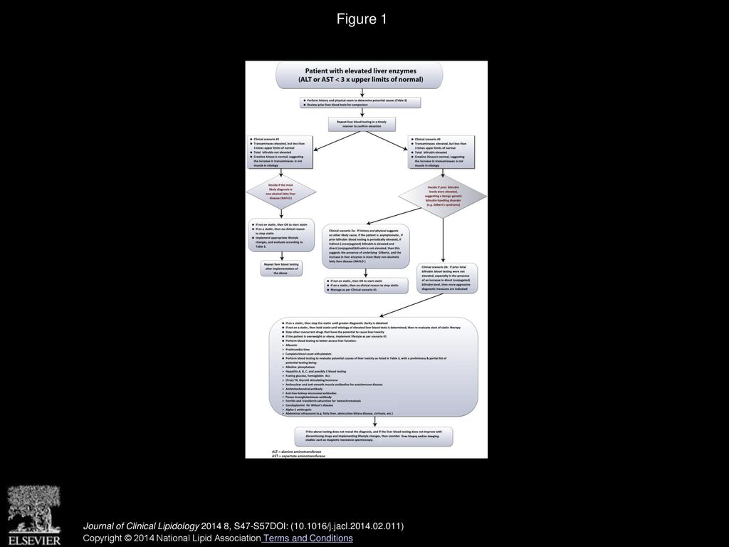 Figure 1 Comprehensive approach to patients with elevated liver blood testing (transaminases <3 times the upper limits of normal).23,24.