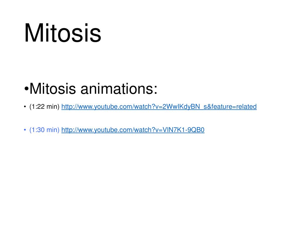 Mitosis Mitosis animations: