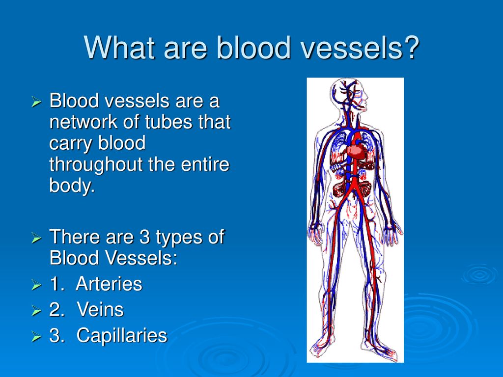 What is a vessel virgin