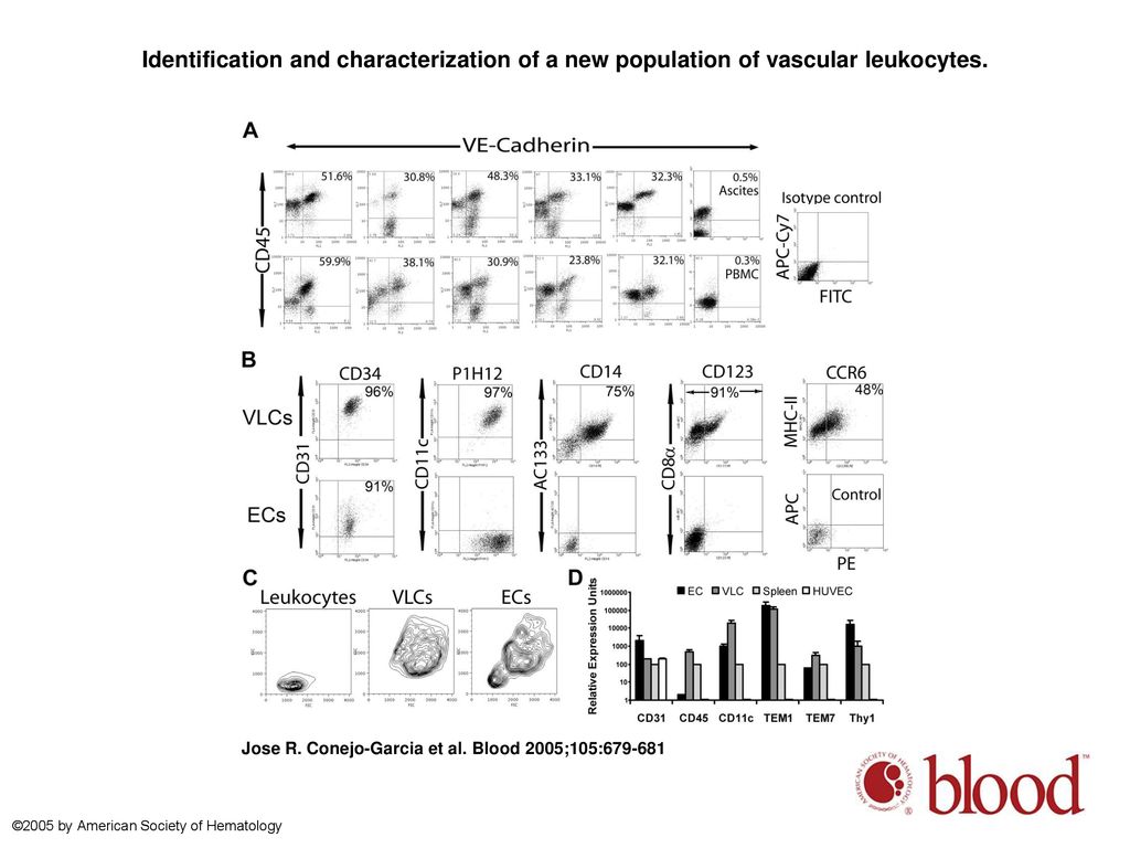 Identification and characterization of a new population of vascular leukocytes.