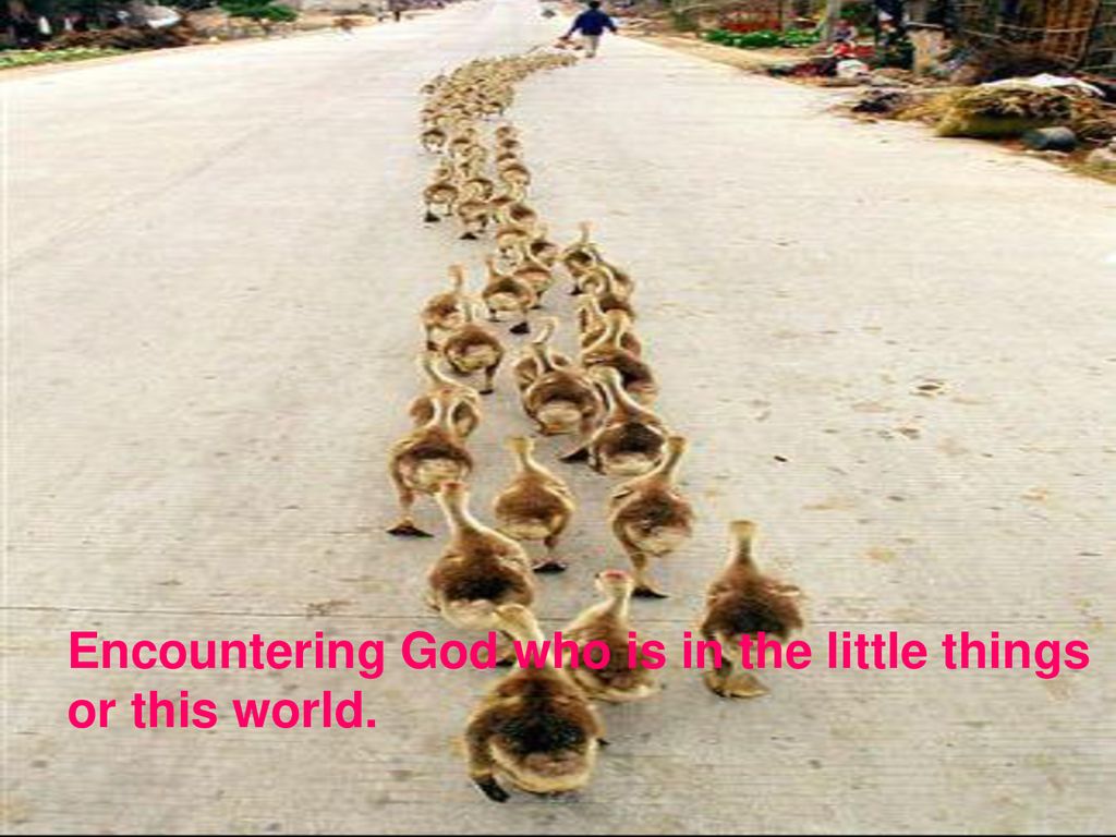 Encountering God who is in the little things or this world.