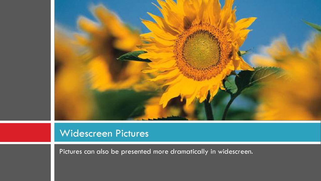 Widescreen Pictures Pictures can also be presented more dramatically in widescreen.
