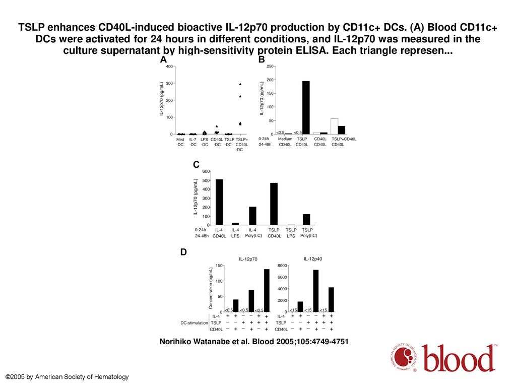 TSLP enhances CD40L-induced bioactive IL-12p70 production by CD11c+ DCs. (A) Blood CD11c+ DCs were activated for 24 hours in different conditions, and IL-12p70 was measured in the culture supernatant by high-sensitivity protein ELISA. Each triangle represen...