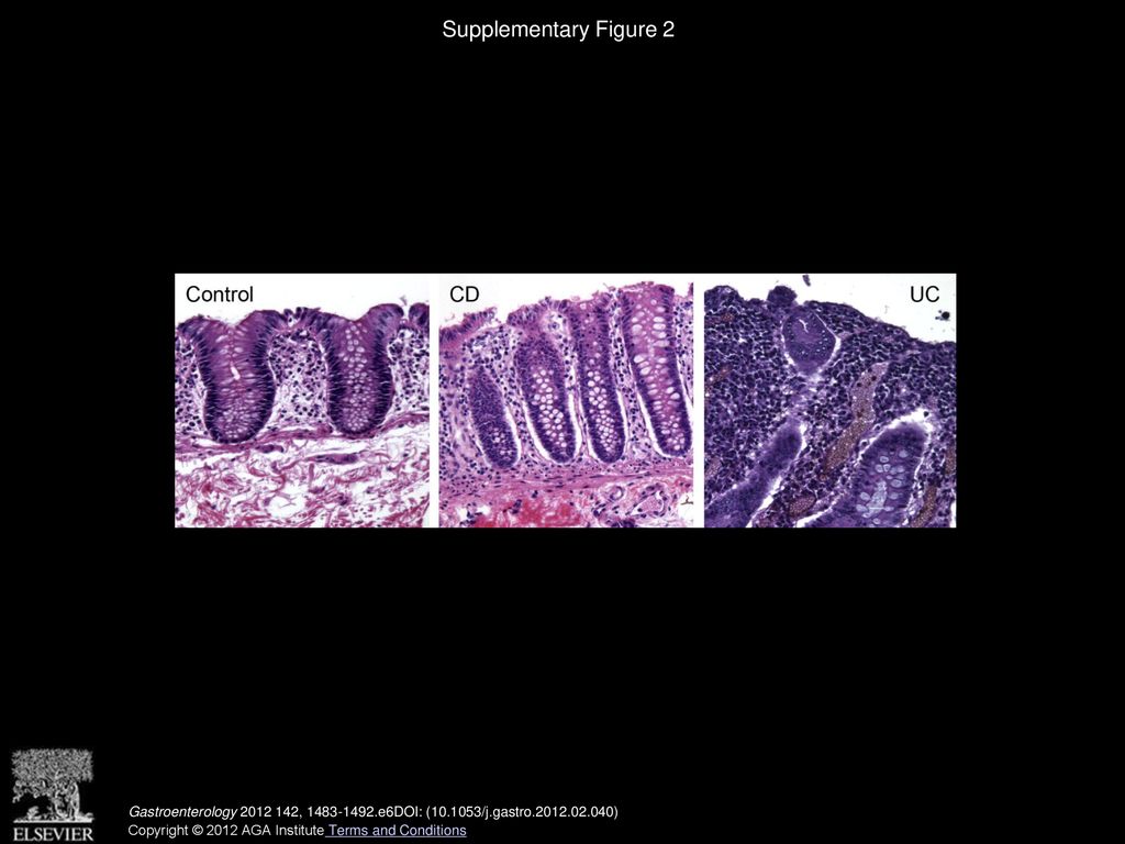 Supplementary Figure 2 Hematoxylin and eosin stained colonic tissue shown in Figure 2. Images were taken at 10× magnification.