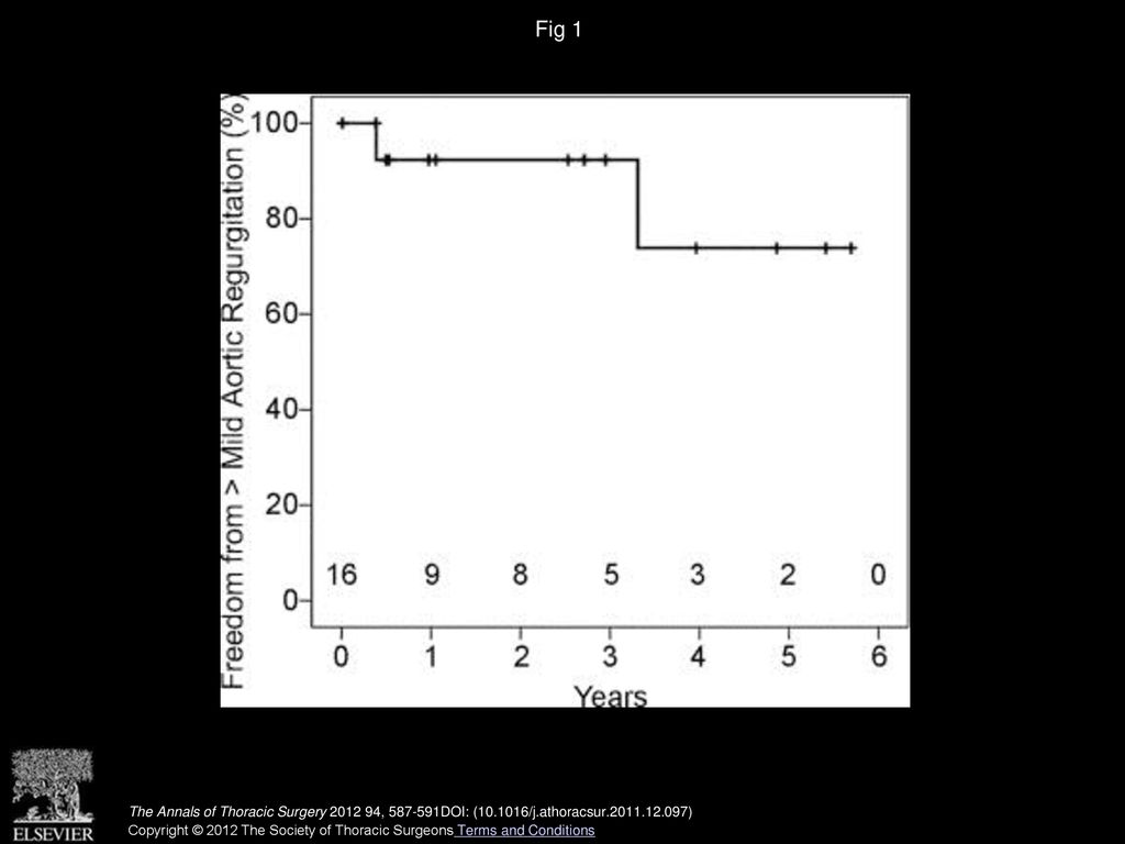 Fig 1 Kaplan-Meier freedom from greater-than-mild aortic regurgitation.