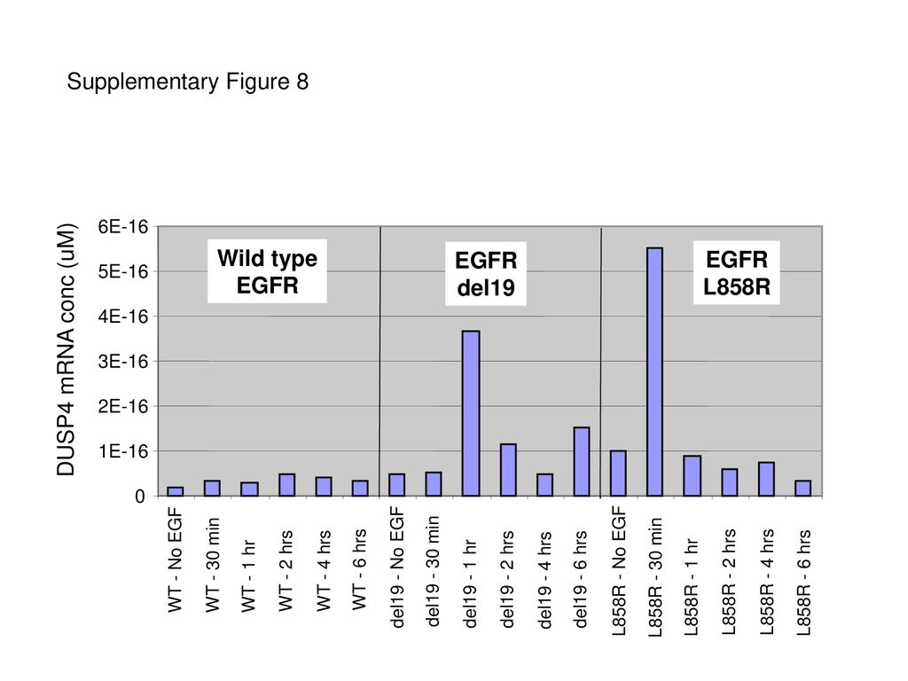Wild type EGFR EGFR del19 EGFR L858R
