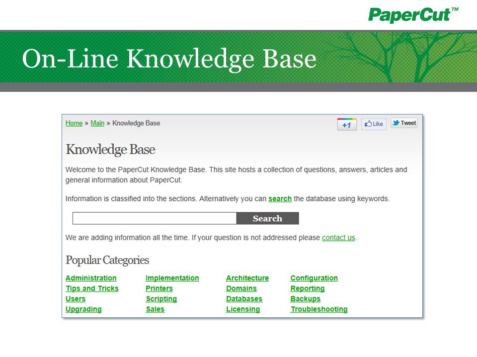 On-Line Knowledge Base
