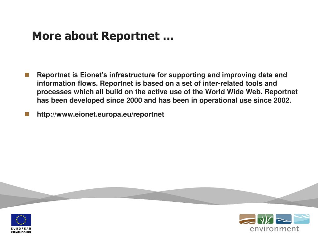 More about Reportnet …