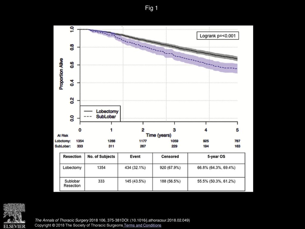 Fig 1 Kaplan-Meier curve for overall survival (OS) by extent of surgical resection: unmatched patients.