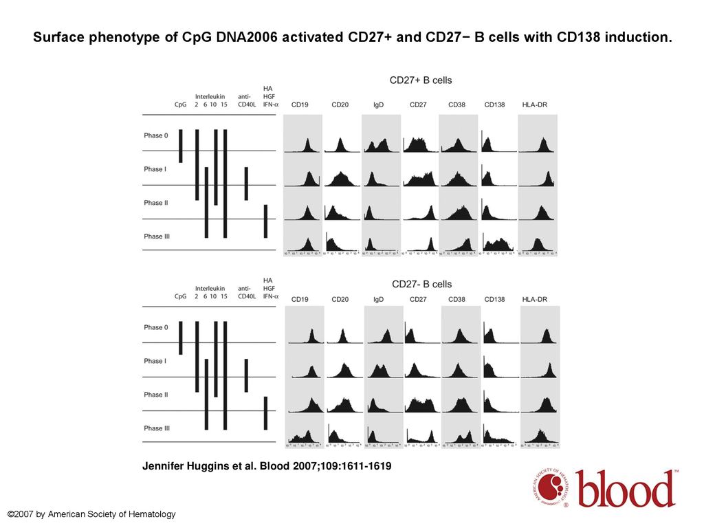 Surface phenotype of CpG DNA2006 activated CD27+ and CD27− B cells with CD138 induction.