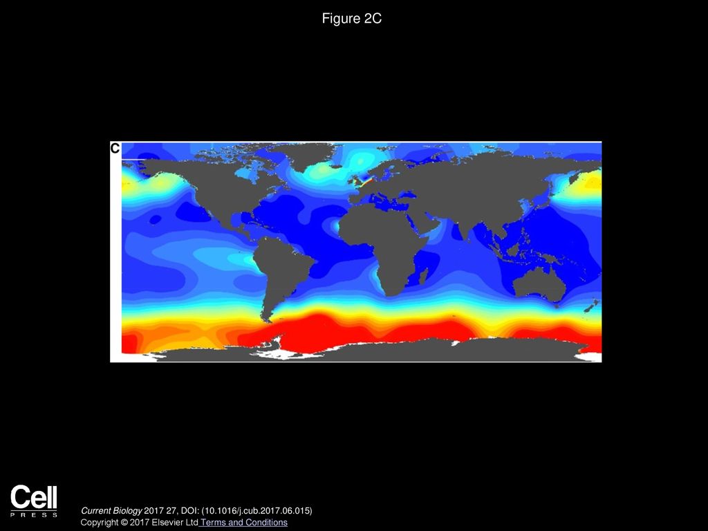 Figure 2C Marine Species Richness, Temperature, and Productivity (original) Current Biology , DOI: ( /j.cub )
