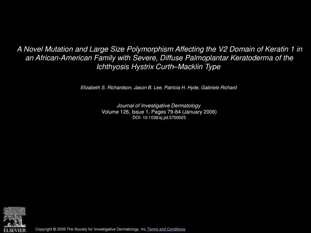 A Novel Mutation and Large Size Polymorphism Affecting the V2 Domain of Keratin 1 in an African-American Family with Severe, Diffuse Palmoplantar Keratoderma of the Ichthyosis Hystrix Curth–Macklin Type