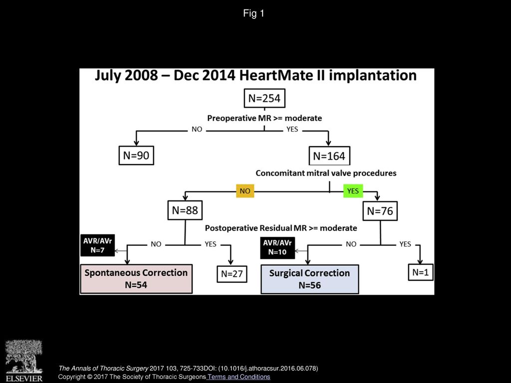 Fig 1 Grouping chart. (AVr = aortic valve repair; AVR = aortic valve replacement; MR = mitral regurgitation.)
