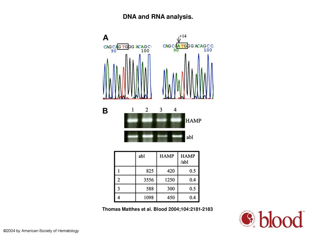DNA and RNA analysis.