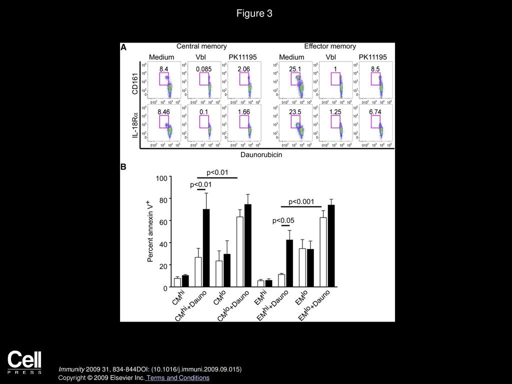 Figure 3 CMhi and EMhi Efflux Daunorubicin and Are Protected from Cytotoxicity during Exposure to Daunorubicin.