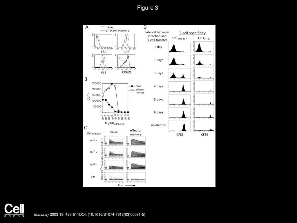 Figure 3 In Vivo Antigen Presentation to Effector Memory Phenotype CD8 T Cells Is Transient.