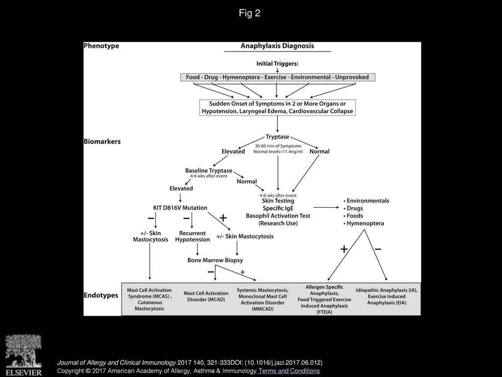 Fig 2 Algorithm for the diagnosis of anaphylaxis. MCAS, Mast cell activation syndrome.