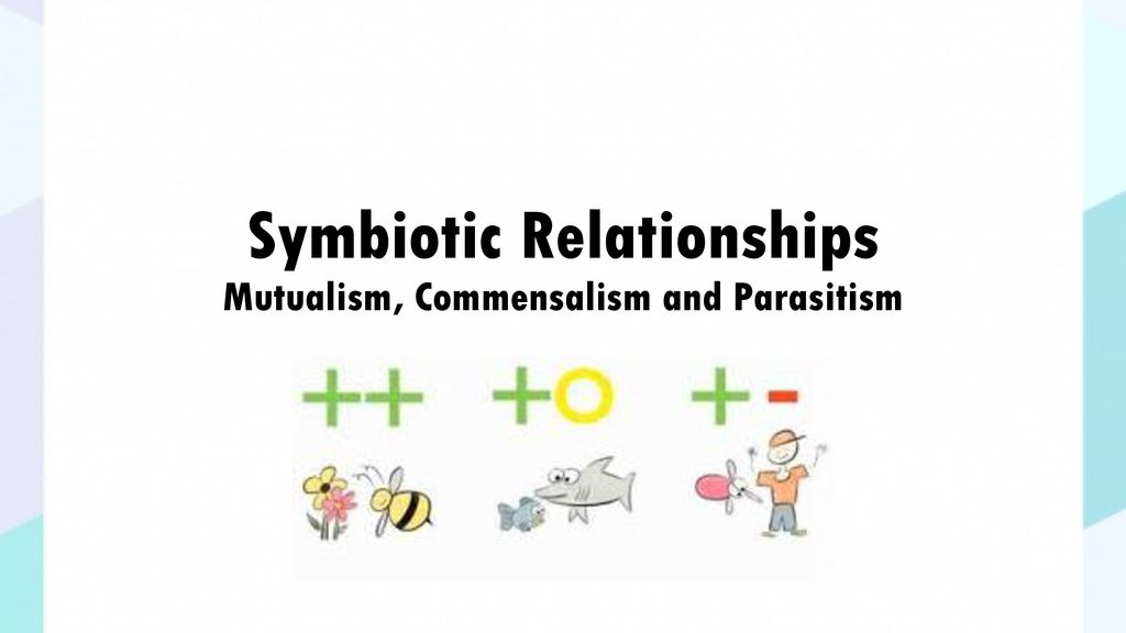 Symbiotic Relationships Mutualism Commensalism And Parasitism
