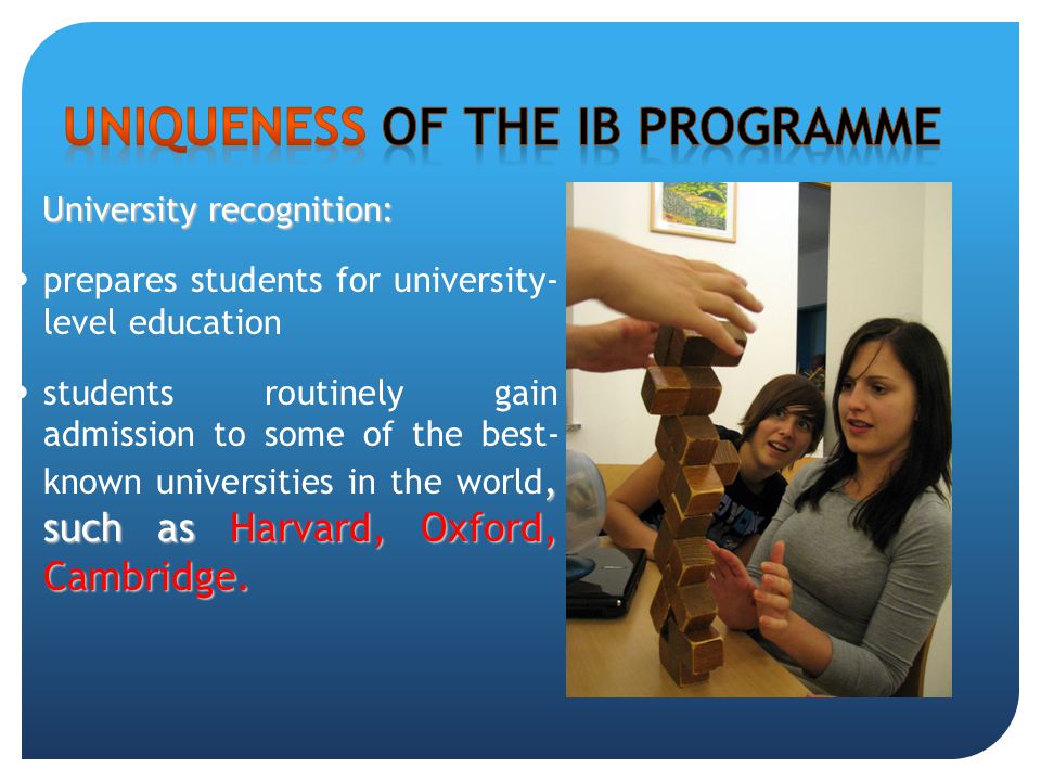 Uniqueness of the IB programme