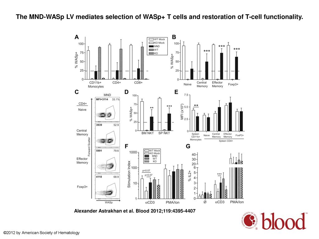 The MND-WASp LV mediates selection of WASp+ T cells and restoration of T-cell functionality.