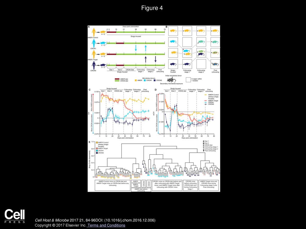 Figure 4 Responses to a CRON Diet Intervention in the Context of an Experimental Metacommunity.