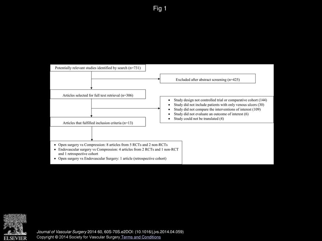 Fig 1 Study selection process. RCT, Randomized controlled trial.