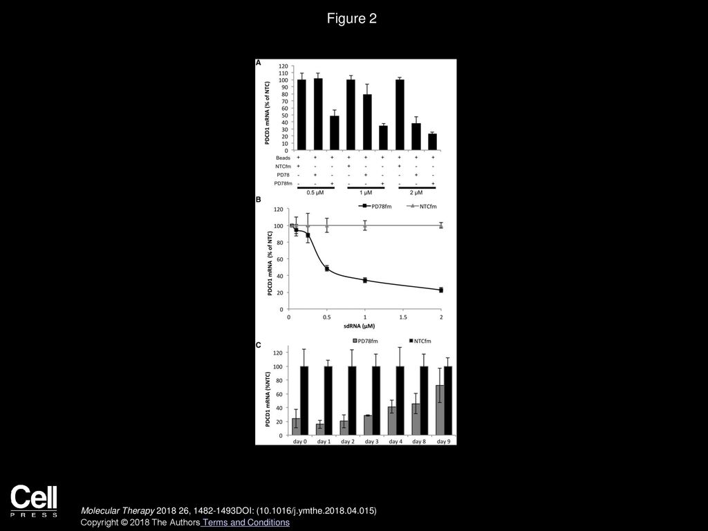 Figure 2 Improved Efficacy of PD1 sdRNA Knockdown by Additional Backbone Stabilization.