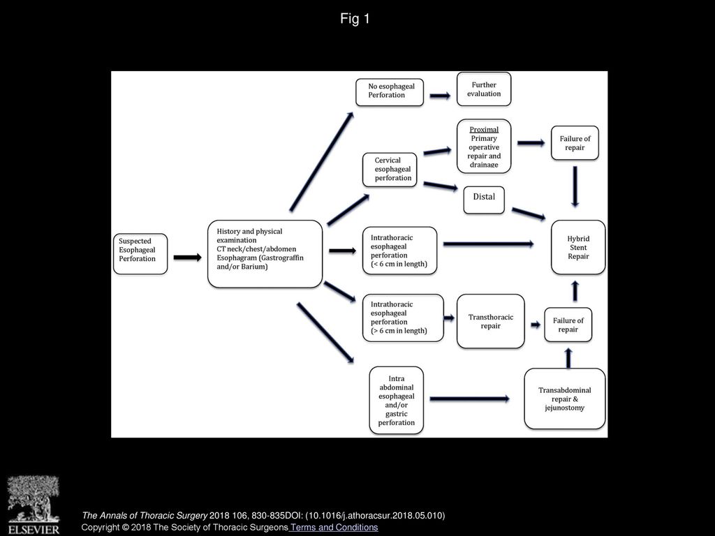 Fig 1 Treatment algorithm for esophageal perforations. (CT = computed tomography.)