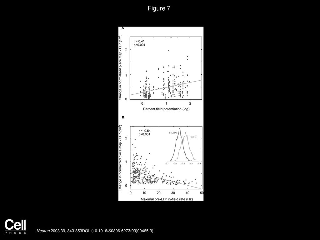 Figure 7 Synaptic Plasticity- and Firing Rate-Dependent Changes in Place Fields of Pyramidal Cells after LTP.