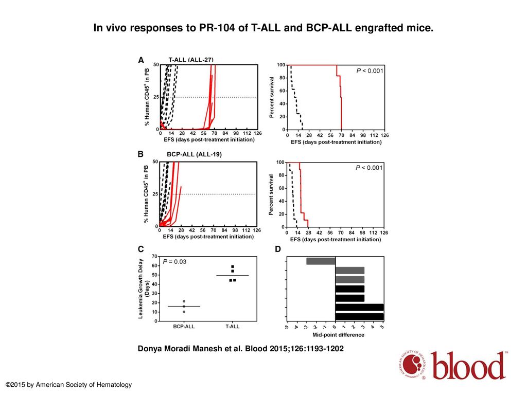In vivo responses to PR-104 of T-ALL and BCP-ALL engrafted mice.