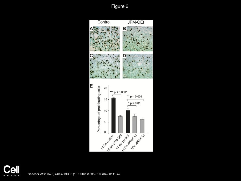 Figure 6 Cell proliferation is reduced following cysteine cathepsin inhibition.