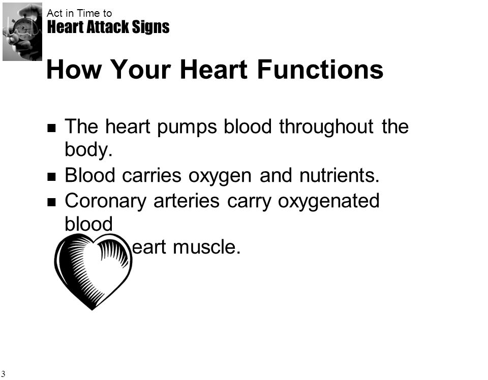 How Your Heart Functions
