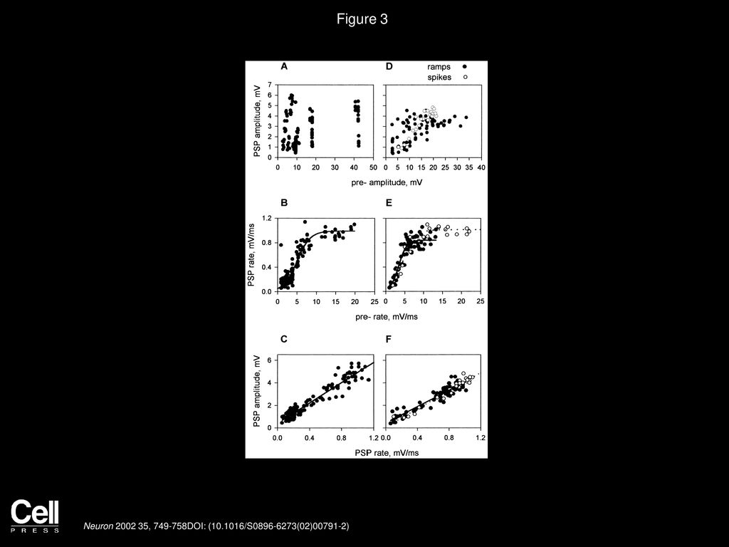 Figure 3 IPSP Speed and Amplitude Depend on the Rate of Presynaptic Depolarization.