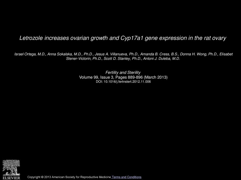 Letrozole increases ovarian growth and Cyp17a1 gene expression in the rat ovary