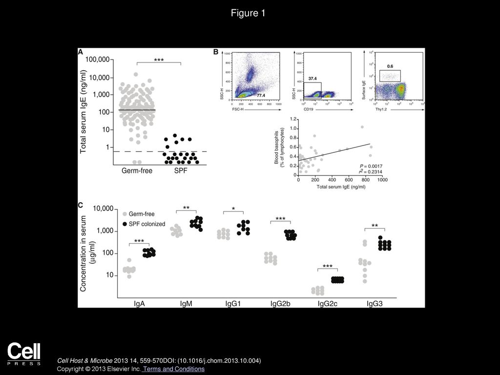 Figure 1 Absence of Microbial Colonization Leads to Elevated Serum IgE Levels.