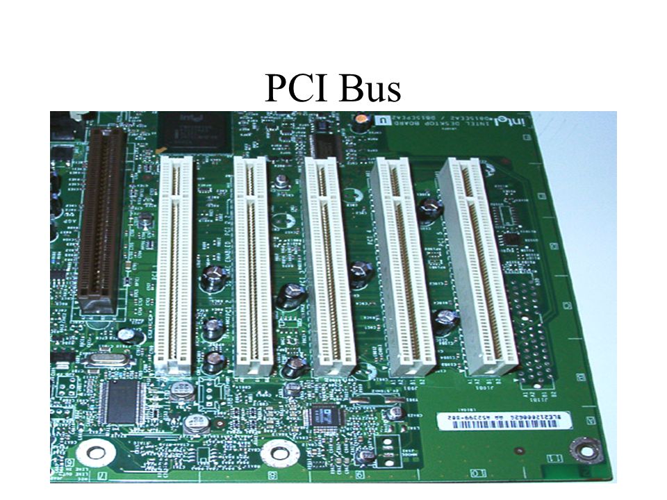 PCI Bus