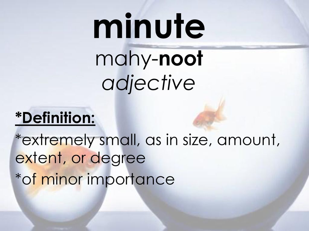 The Word Of The Week Is Minute Ppt Download
