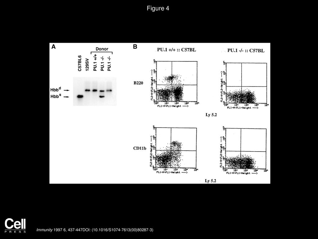 Figure 4 Analysis of Transplanted PU.1−/− Fetal Liver Cells in Lethally Irradiated Recipients.