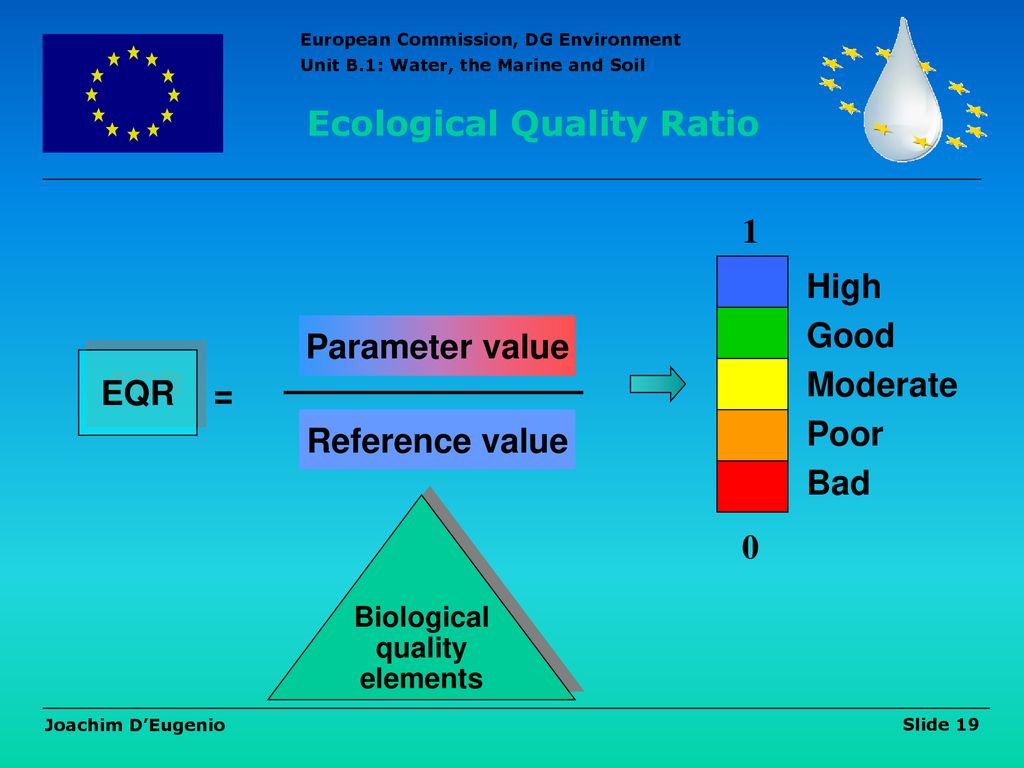 Ecological Quality Ratio