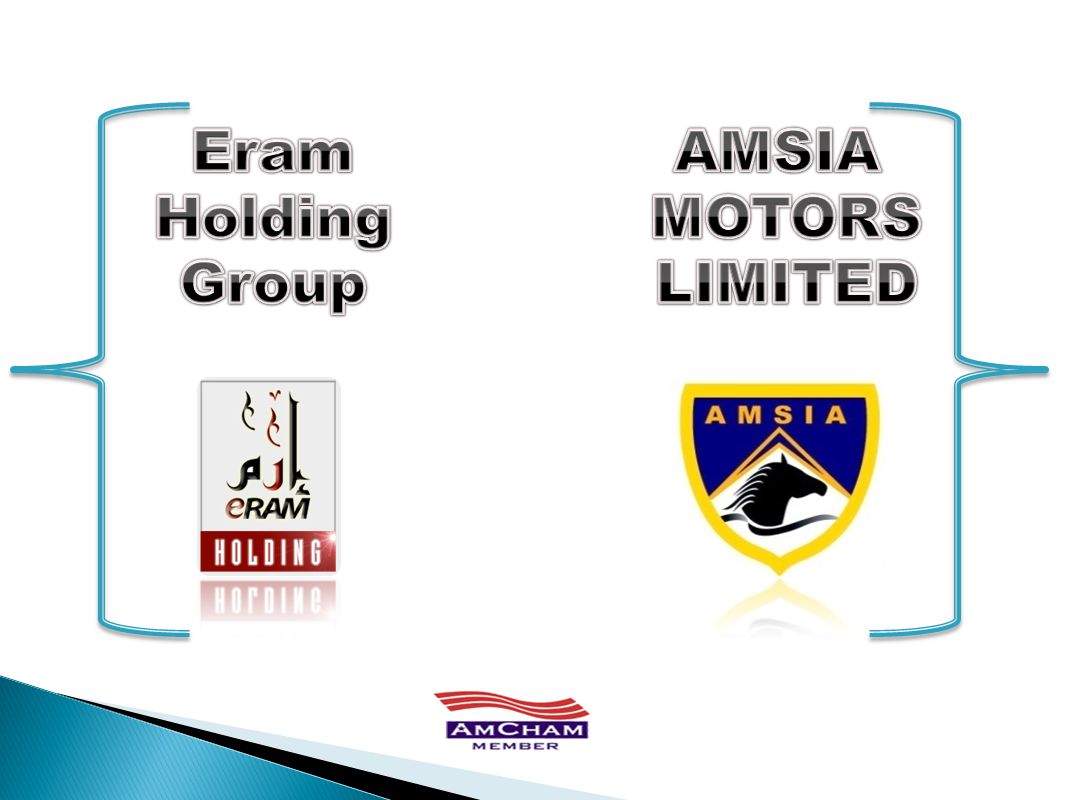 Eram Holding Group AMSIA MOTORS LIMITED