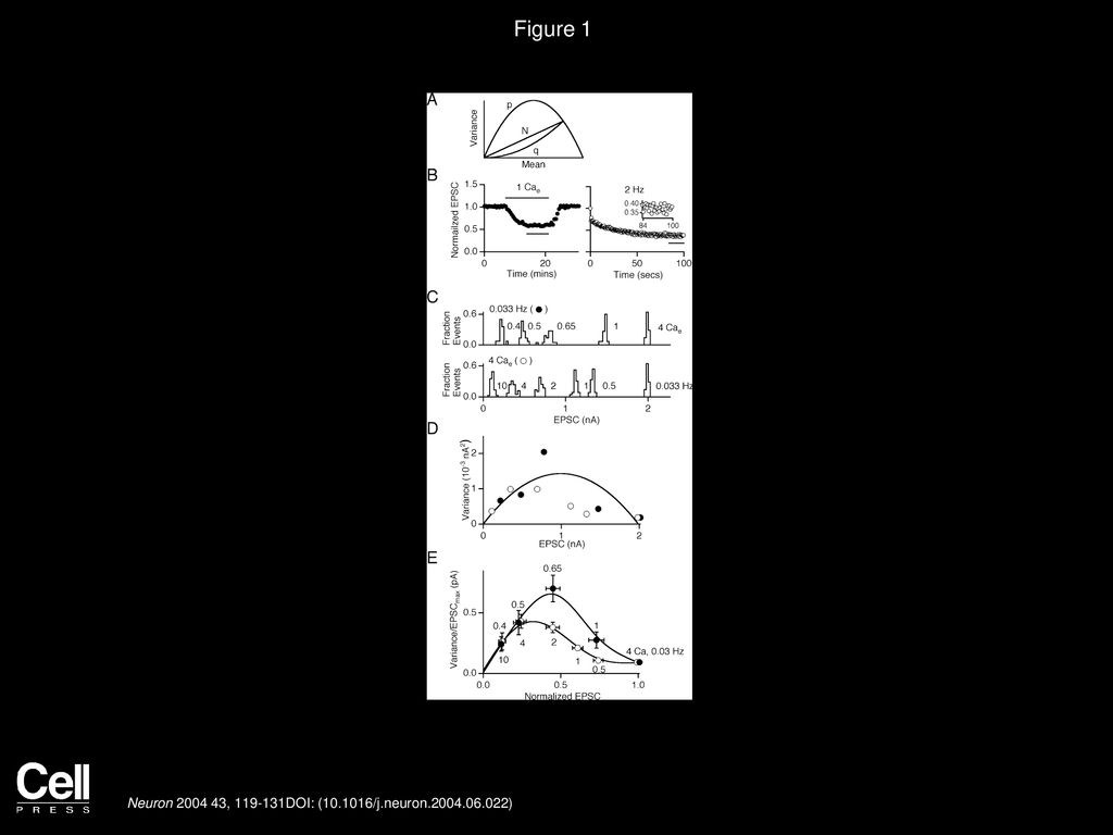Figure 1 The Dependence of EPSC Variance on Cae and Stimulus Frequency