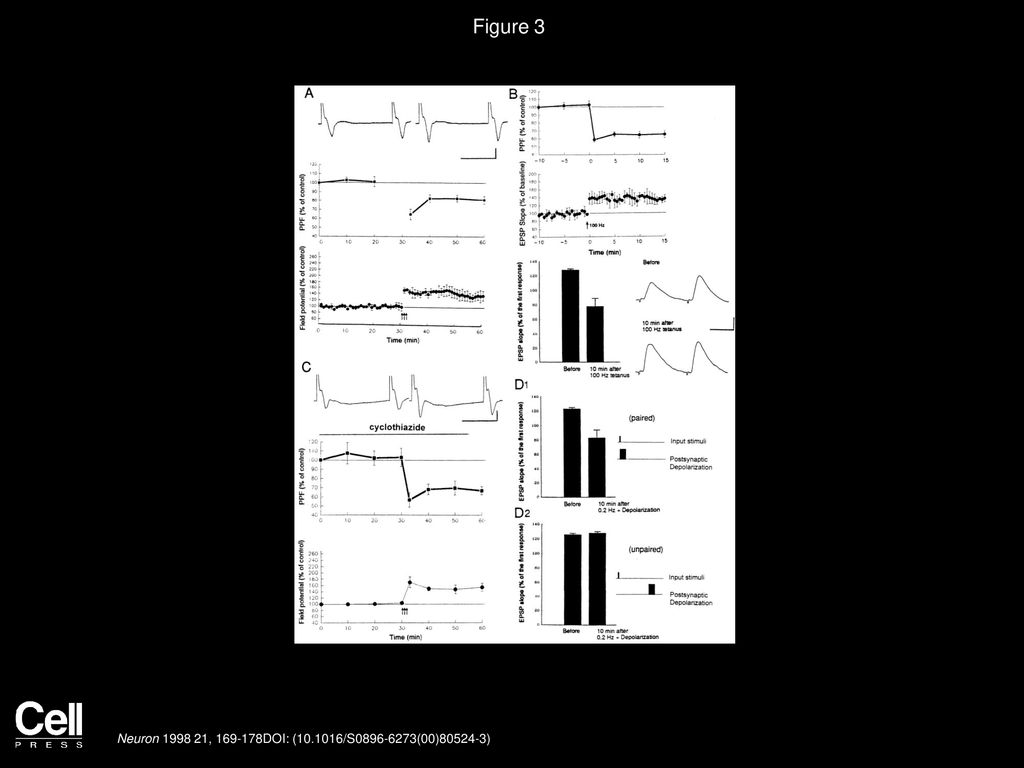 Figure 3 LTP in Lateral Amygdala Is Associated with a Depression of PPF.