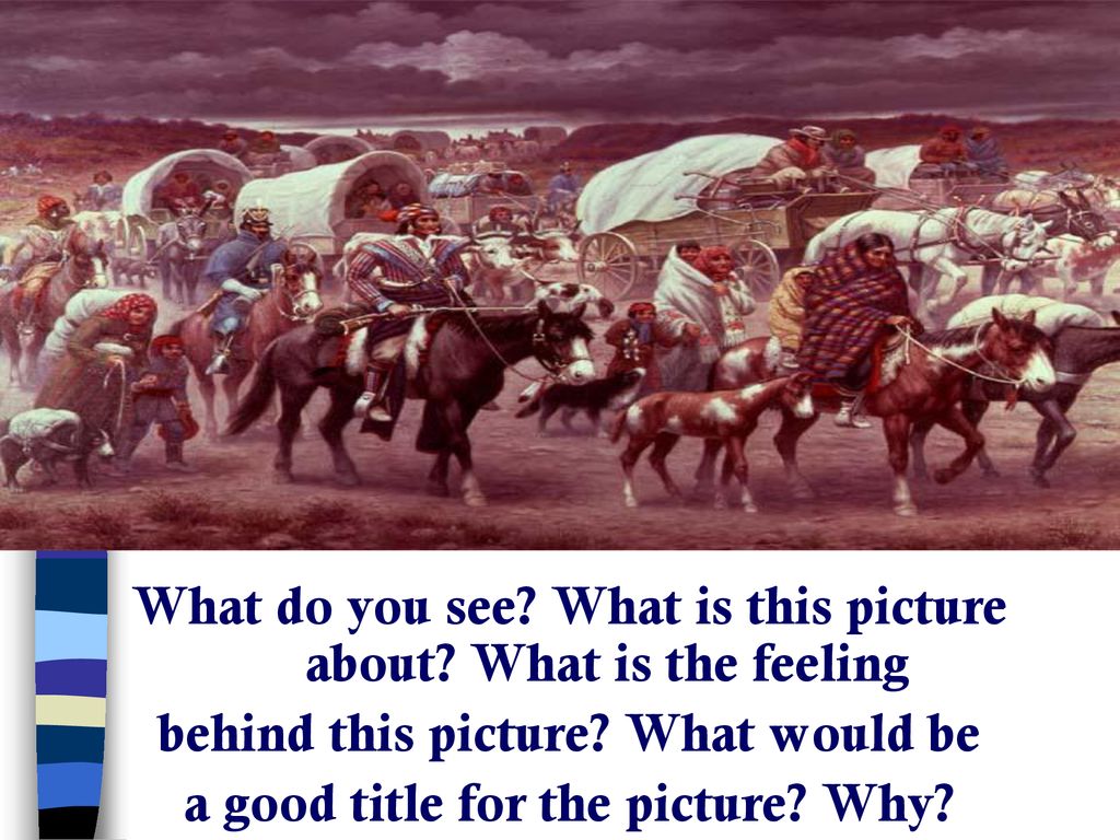What do you see What is this picture about What is the feeling