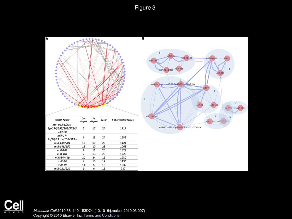 Figure 3 The miRNA-Cotargeting Network Inferred by mirBridge