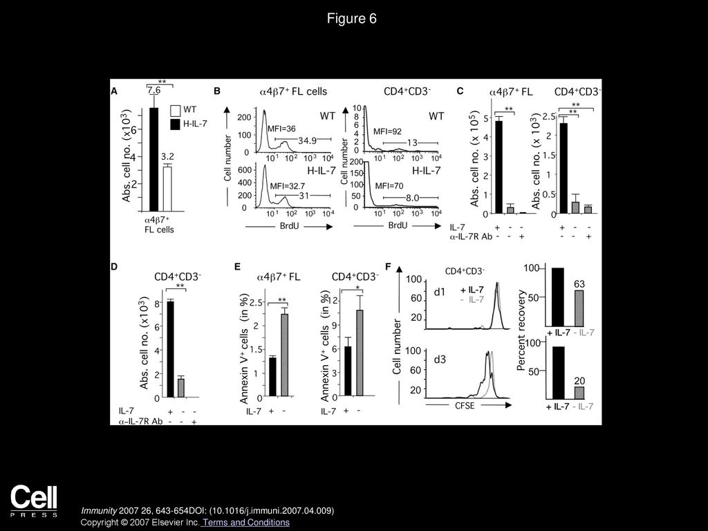 Figure 6 IL-7 Promotes the Survival of α4β7+ FL Progenitor Cells and of LTi Cells.