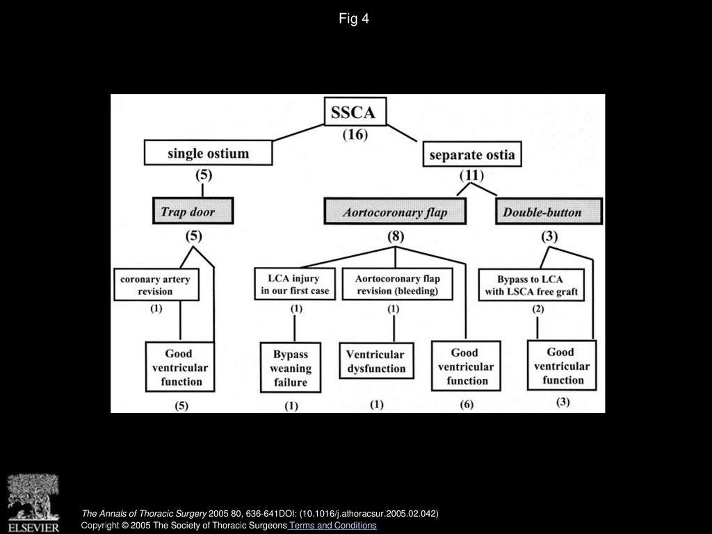 Fig 4 Postoperative outcomes. (LCA = left coronary artery; LSCA = left subclavian artery; SSCA = single sinus coronary artery.)