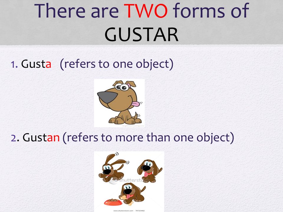 There are TWO forms of GUSTAR